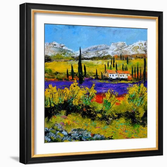 Provence 885120-Pol Ledent-Framed Art Print