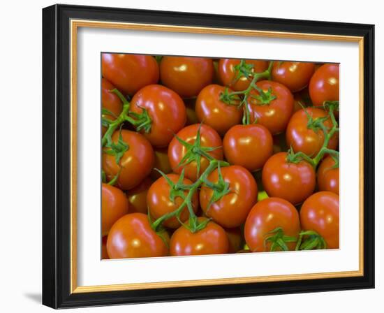 Provence-Alpes-Côte D'Azur, Cannes, Old Town, Le Suquet, Market, France-Alan Copson-Framed Photographic Print