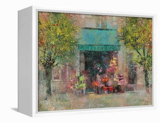Provence Flower Shop-Eric Yang-Framed Stretched Canvas