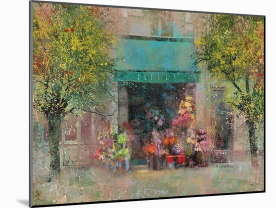 Provence Flower Shop-Eric Yang-Mounted Art Print