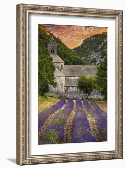 Provence, France - Lavender Fields-Lantern Press-Framed Premium Giclee Print