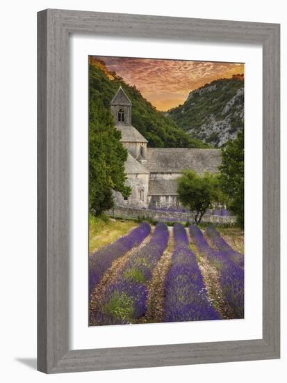 Provence, France - Lavender Fields-Lantern Press-Framed Premium Giclee Print