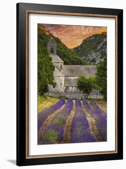 Provence, France - Lavender Fields-Lantern Press-Framed Premium Giclee Print