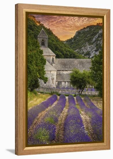 Provence, France - Lavender Fields-Lantern Press-Framed Stretched Canvas