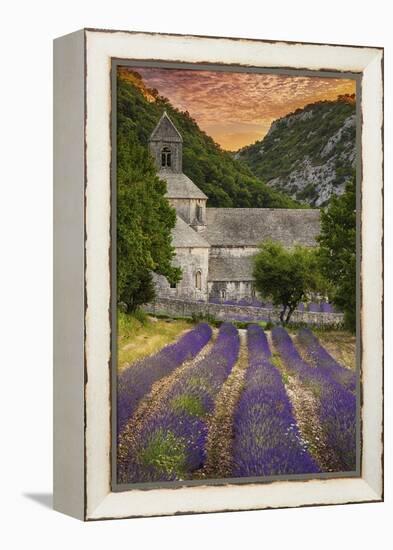 Provence, France - Lavender Fields-Lantern Press-Framed Stretched Canvas