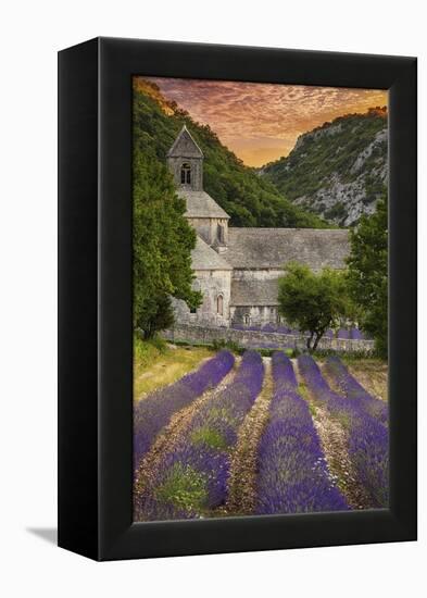 Provence, France - Lavender Fields-Lantern Press-Framed Stretched Canvas