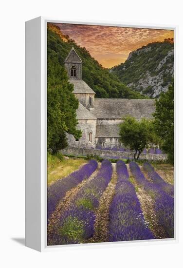 Provence, France - Lavender Fields-Lantern Press-Framed Stretched Canvas