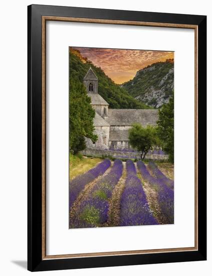 Provence, France - Lavender Fields-Lantern Press-Framed Art Print