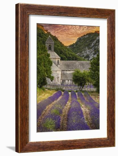 Provence, France - Lavender Fields-Lantern Press-Framed Art Print