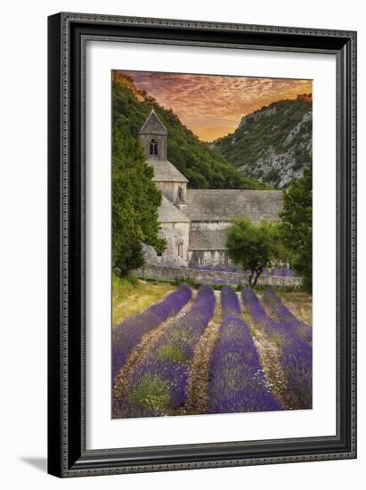 Provence, France - Lavender Fields-Lantern Press-Framed Art Print