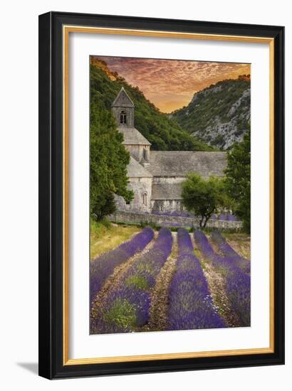 Provence, France - Lavender Fields-Lantern Press-Framed Art Print