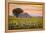 Provence, Valensole Plateau, France-Francesco Riccardo Iacomino-Framed Premier Image Canvas