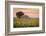 Provence, Valensole Plateau, France-Francesco Riccardo Iacomino-Framed Photographic Print