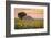 Provence, Valensole Plateau, France-Francesco Riccardo Iacomino-Framed Photographic Print