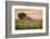 Provence, Valensole Plateau, France-Francesco Riccardo Iacomino-Framed Photographic Print