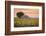 Provence, Valensole Plateau, France-Francesco Riccardo Iacomino-Framed Photographic Print