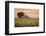 Provence, Valensole Plateau, France-Francesco Riccardo Iacomino-Framed Photographic Print