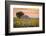 Provence, Valensole Plateau, France-Francesco Riccardo Iacomino-Framed Photographic Print