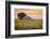 Provence, Valensole Plateau, France-Francesco Riccardo Iacomino-Framed Photographic Print