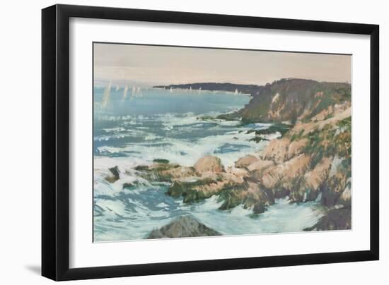 Providence Coastal Cliffs II-Tim O'Toole-Framed Art Print