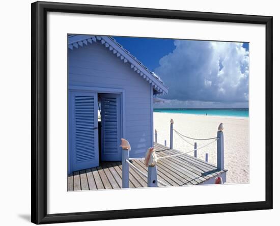 Providence Island, Bahamas, Caribbean-Peter Adams-Framed Photographic Print