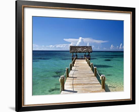 Providence Island, Bahamas, Caribbean-Peter Adams-Framed Photographic Print