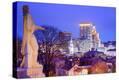 Stretched Canvas Print