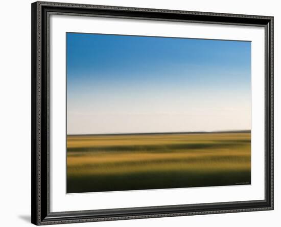 Provincelands Marshland, Cape Cod, Massachusetts, USA-Walter Bibikow-Framed Photographic Print