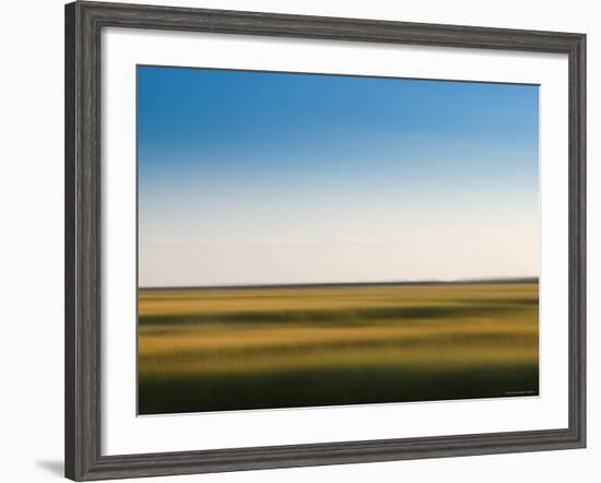 Provincelands Marshland, Cape Cod, Massachusetts, USA-Walter Bibikow-Framed Photographic Print