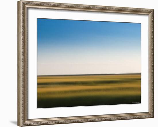 Provincelands Marshland, Cape Cod, Massachusetts, USA-Walter Bibikow-Framed Photographic Print