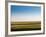 Provincelands Marshland, Cape Cod, Massachusetts, USA-Walter Bibikow-Framed Photographic Print