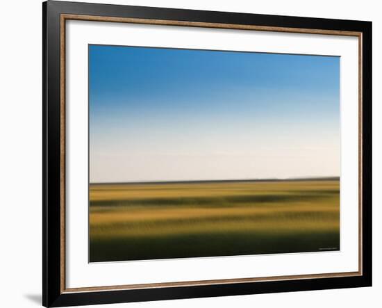 Provincelands Marshland, Cape Cod, Massachusetts, USA-Walter Bibikow-Framed Photographic Print