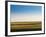 Provincelands Marshland, Cape Cod, Massachusetts, USA-Walter Bibikow-Framed Photographic Print