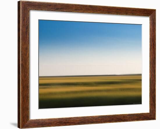 Provincelands Marshland, Cape Cod, Massachusetts, USA-Walter Bibikow-Framed Photographic Print