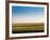 Provincelands Marshland, Cape Cod, Massachusetts, USA-Walter Bibikow-Framed Photographic Print