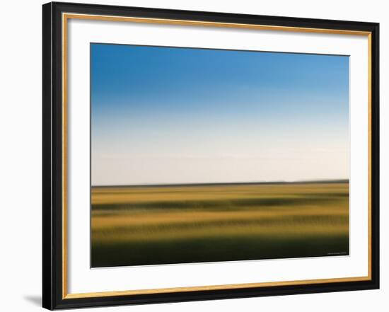 Provincelands Marshland, Cape Cod, Massachusetts, USA-Walter Bibikow-Framed Photographic Print