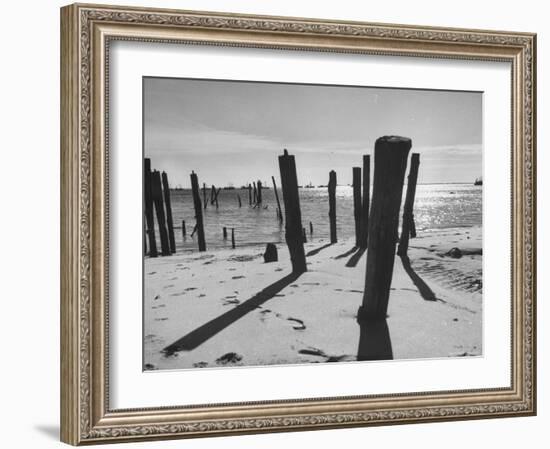 Provincetown Fishing Fleet in Cape Cod Bay-Eliot Elisofon-Framed Photographic Print