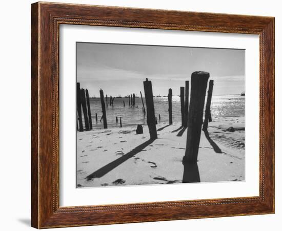 Provincetown Fishing Fleet in Cape Cod Bay-Eliot Elisofon-Framed Photographic Print