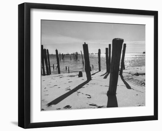 Provincetown Fishing Fleet in Cape Cod Bay-Eliot Elisofon-Framed Photographic Print