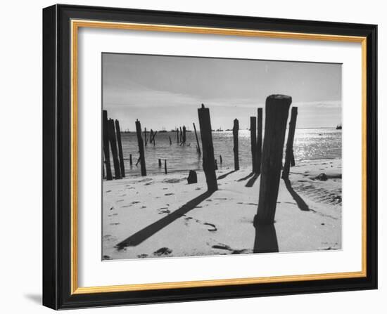 Provincetown Fishing Fleet in Cape Cod Bay-Eliot Elisofon-Framed Photographic Print