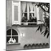 Provincial Window I-Rita Crane-Mounted Photographic Print