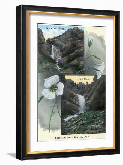 Provo Canyon, Utah, Views of Bridal Veil and Upper Falls with Flowers-Lantern Press-Framed Art Print