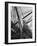 Prow of the Sailing Ship Luther Little-Alfred Eisenstaedt-Framed Photographic Print