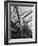 Prow of the Sailing Ship Luther Little-Alfred Eisenstaedt-Framed Photographic Print