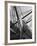 Prow of the Sailing Ship Luther Little-Alfred Eisenstaedt-Framed Photographic Print