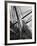 Prow of the Sailing Ship Luther Little-Alfred Eisenstaedt-Framed Photographic Print