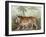 Prowl II-Julia Purinton-Framed Art Print