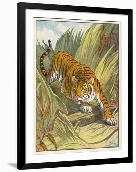 Photographic Print, , large