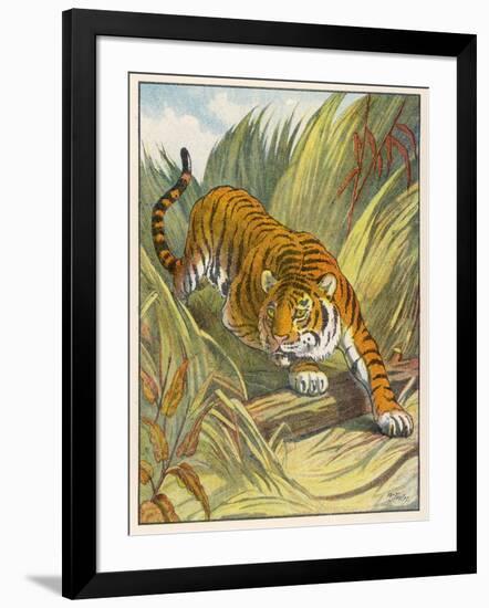 Photographic Print, , large