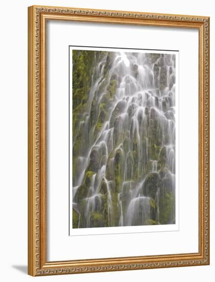 Proxy Falls III-Donald Paulson-Framed Giclee Print